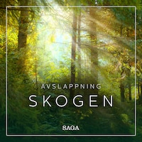 Avslappning - Skogen