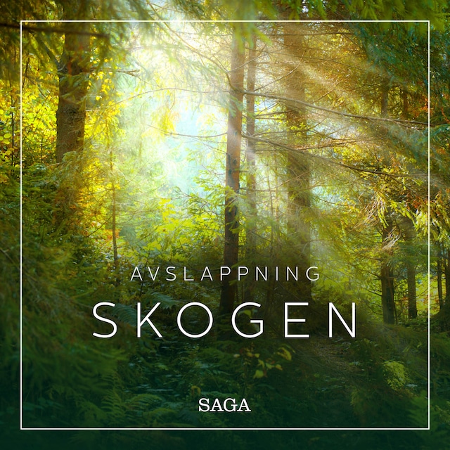 Book cover for Avslappning - Skogen
