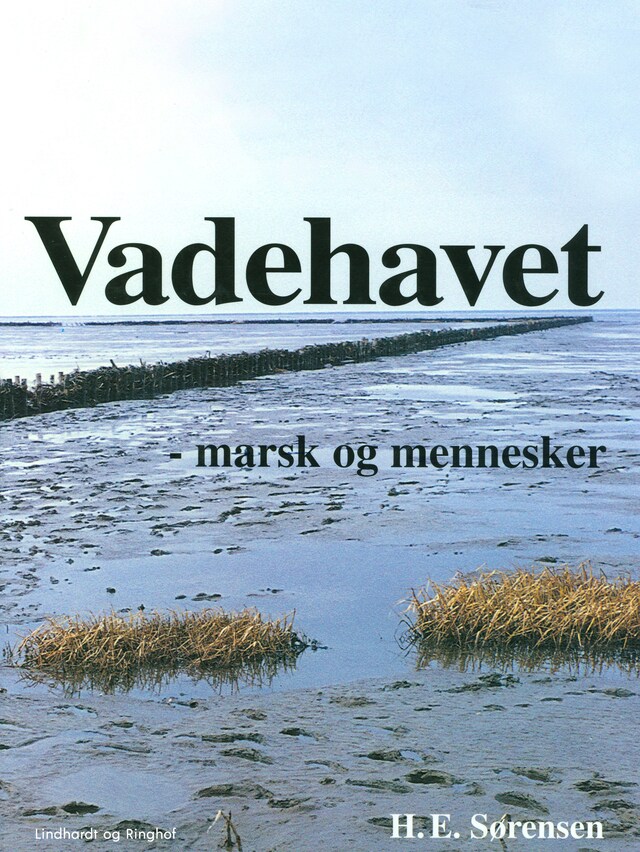 Bogomslag for Vadehavet