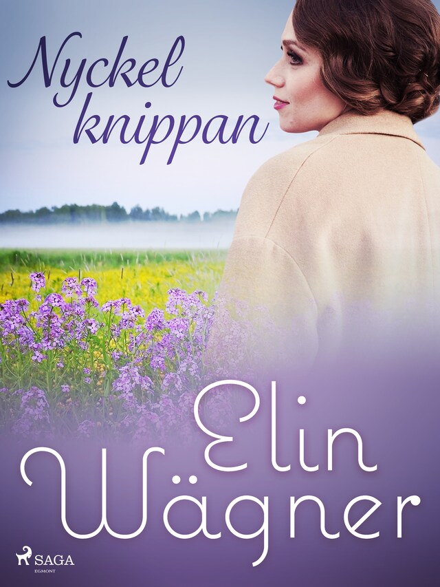 Book cover for Nyckelknippan