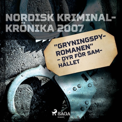&quot;Gryningspyromanen&quot; – dyr för samhället
