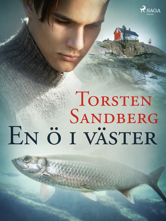 Book cover for En ö i väster