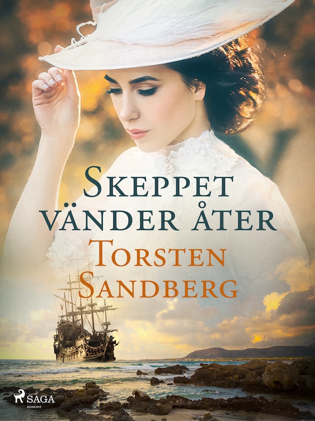 Book cover for Skeppet vänder åter