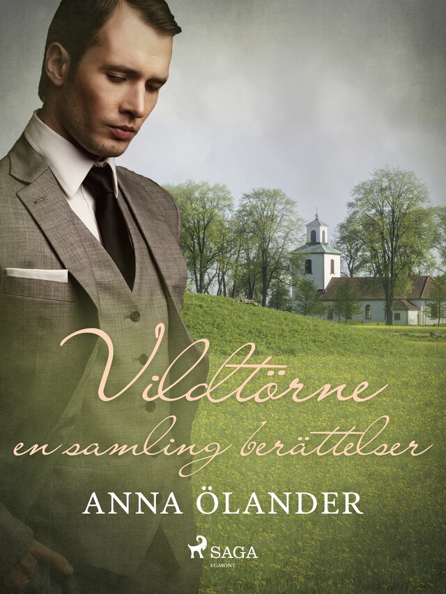 Book cover for Vildtörne: en samling berättelser