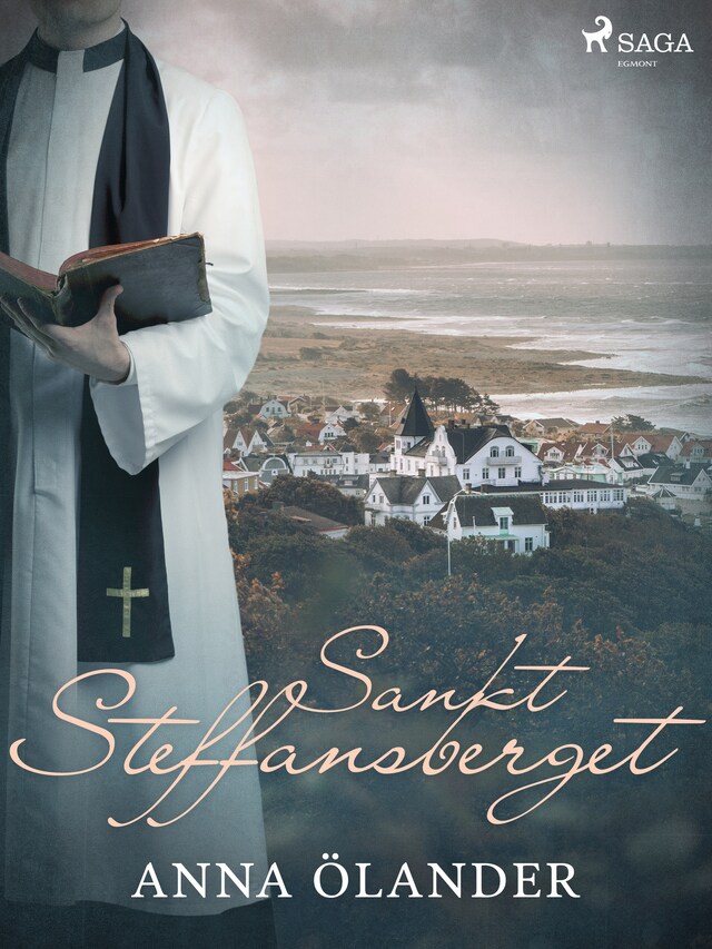 Book cover for Sankt Steffansberget