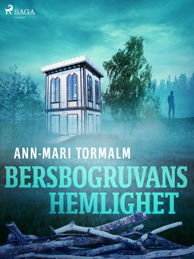 Okładka książki dla Bersbogruvans hemlighet