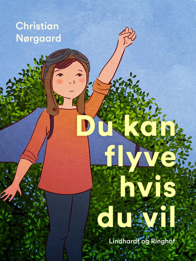 Bogomslag for Du kan flyve hvis du vil