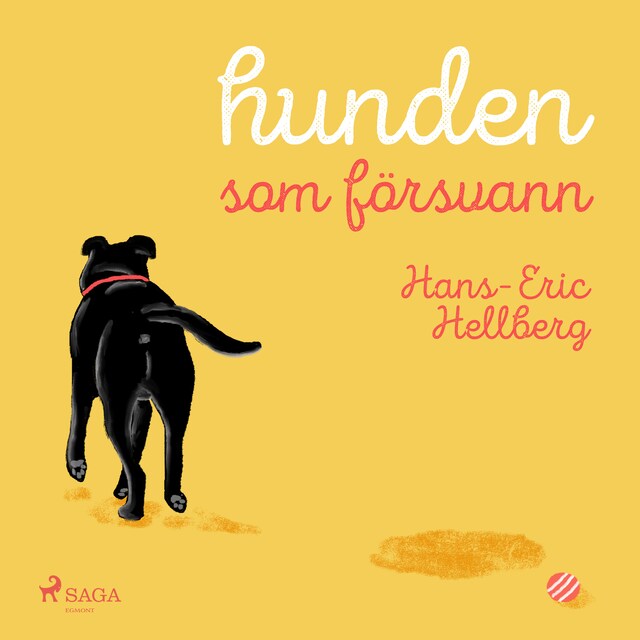 Buchcover für Hunden som försvann