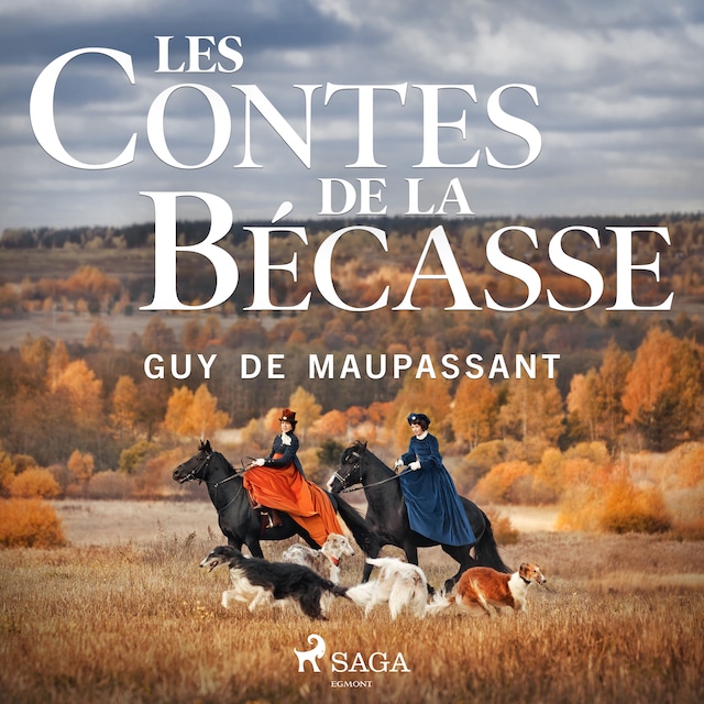 Book cover for Les Contes de la Bécasse