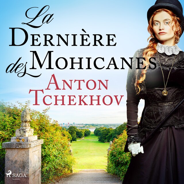 Book cover for La Dernière des Mohicanes