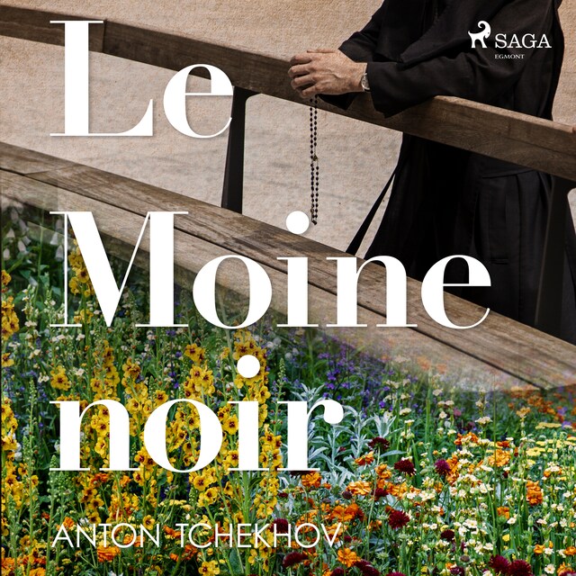Book cover for Le Moine noir