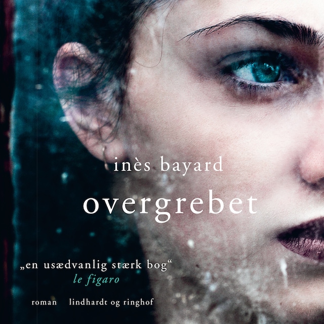 Book cover for Overgrebet