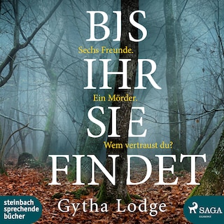 Bis ihr sie findet (Ungekürzt) als Hörbuch