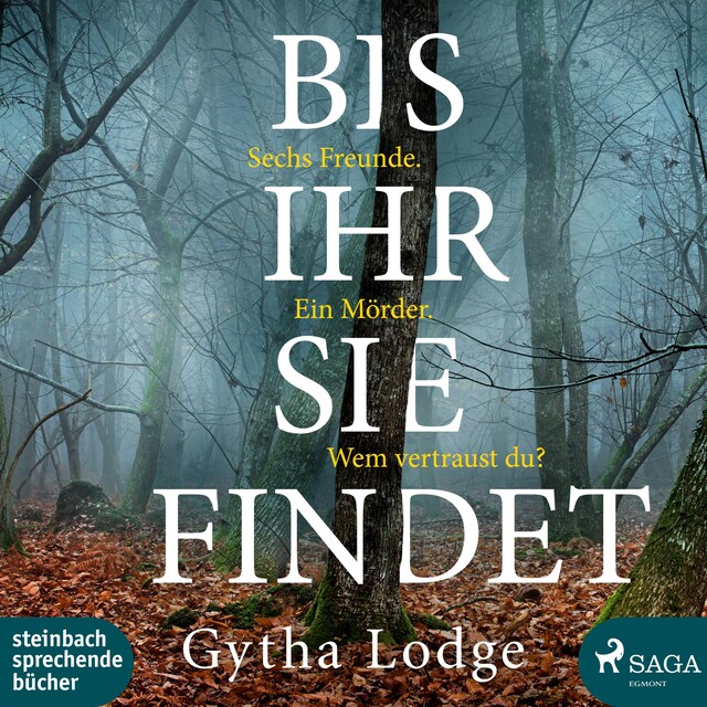 Book cover for Bis ihr sie findet (Ungekürzt)