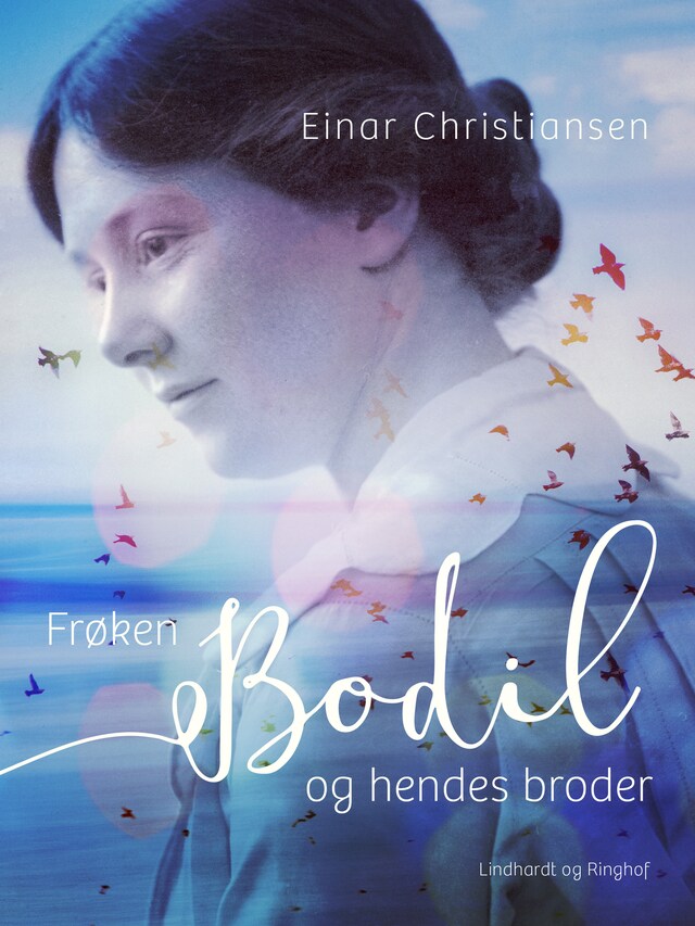 Bogomslag for Frøken Bodil og hendes broder