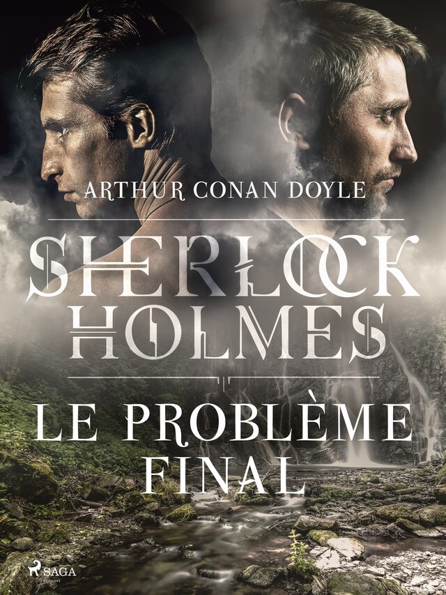 Book cover for Le Problème final