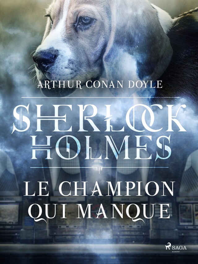 Book cover for Le Champion qui manque