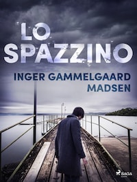 Lo spazzino