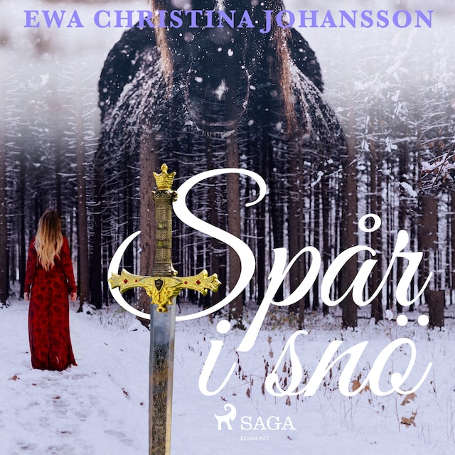 Book cover for Spår i snö