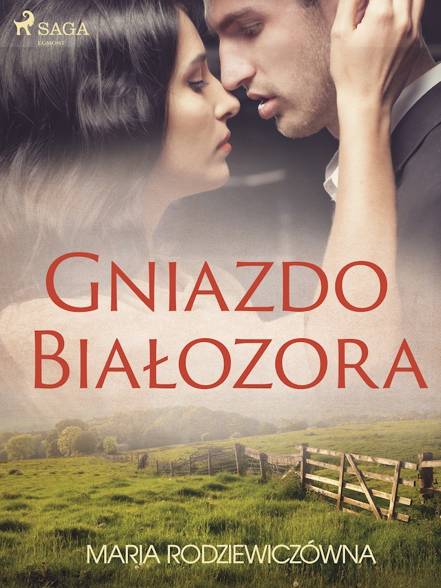 Book cover for Gniazdo Białozora