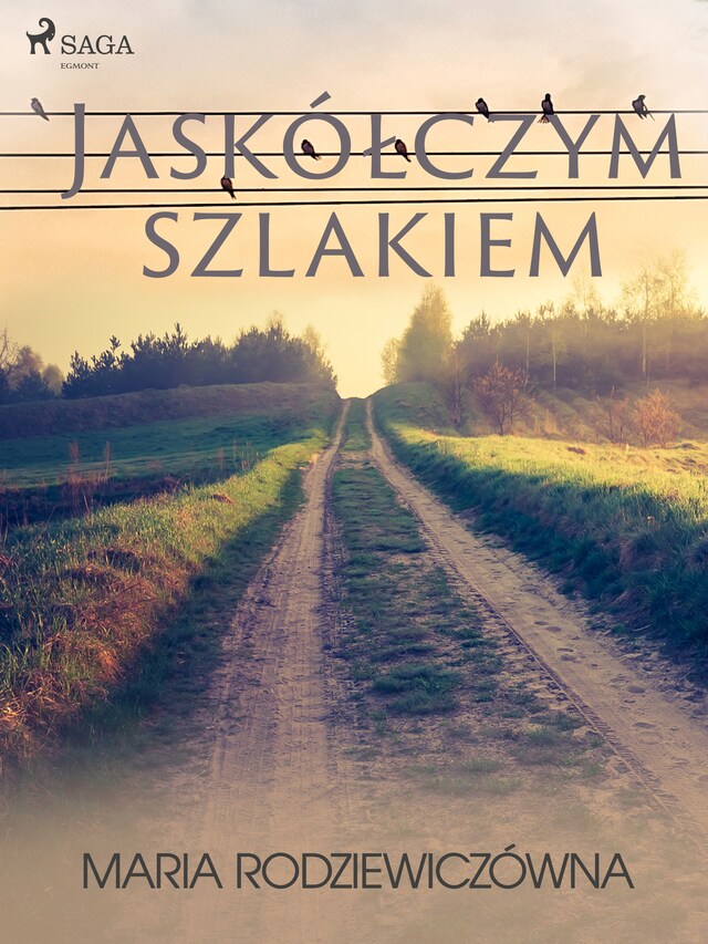 Book cover for Jaskółczym szlakiem