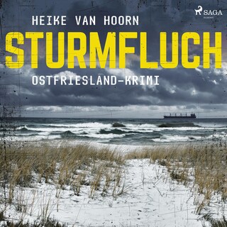 Sturmfluch: Ostfriesland-Krimi (Ein Fall für Kommissar Möllenkamp 2) als Hörbuch