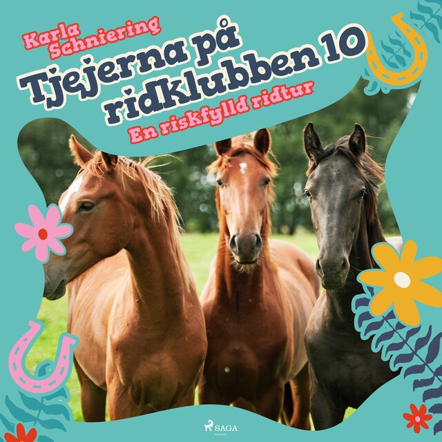 Book cover for Tjejerna på ridklubben 10 - En riskfylld ridtur