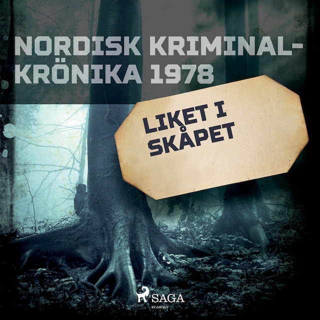 Copertina del libro per Liket i skåpet