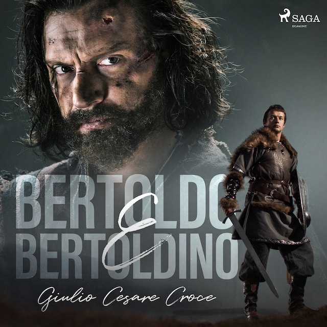 Book cover for Bertoldo e Bertoldino