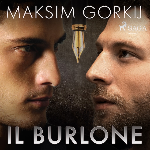 Book cover for Il burlone
