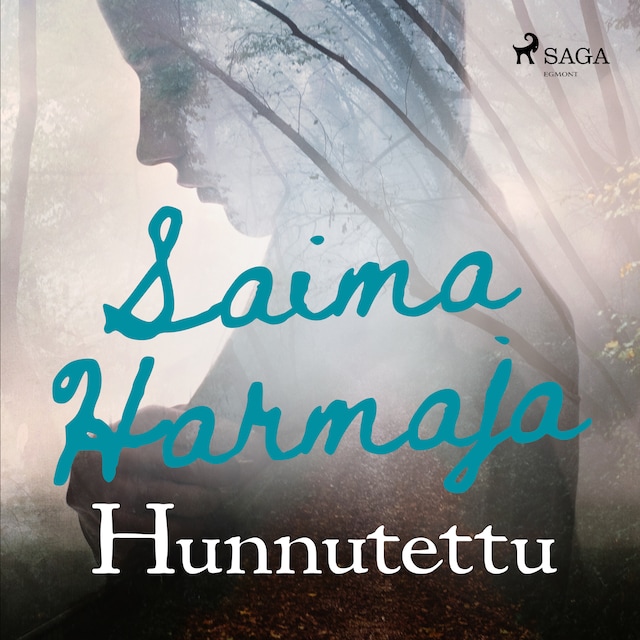 Book cover for Hunnutettu