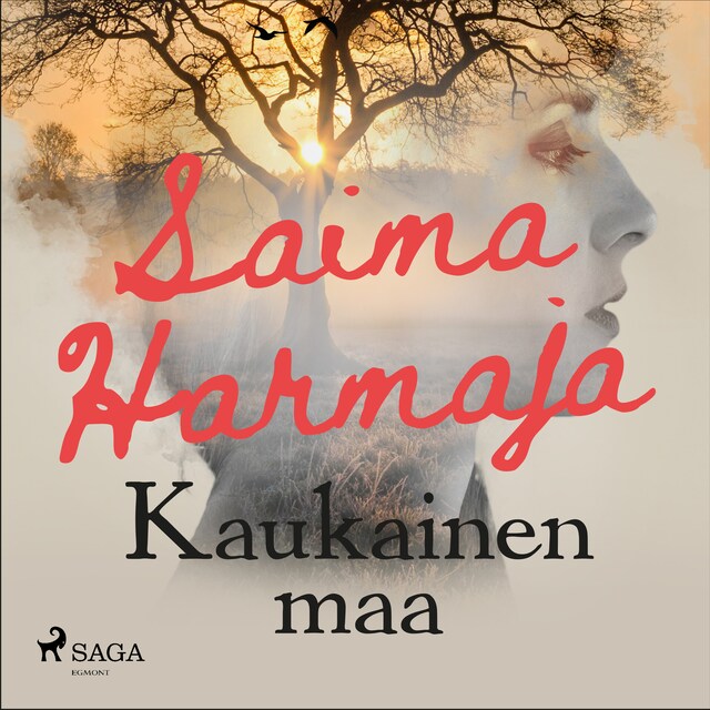 Book cover for Kaukainen maa