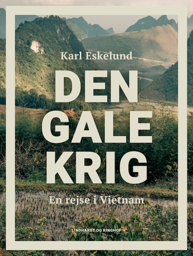 Bogomslag for Den gale krig: en rejse i Vietnam