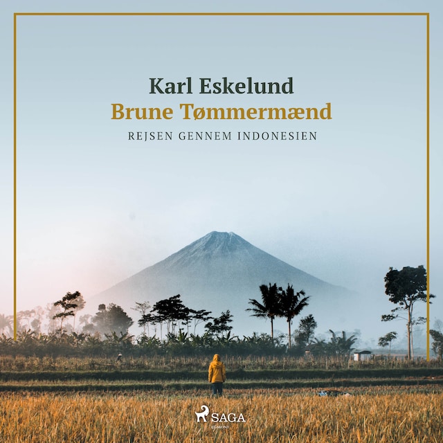Book cover for Brune Tømmermænd - rejsen gennem Indonesien