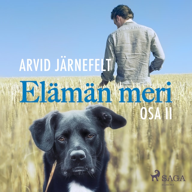 Book cover for Elämän meri, osa 2