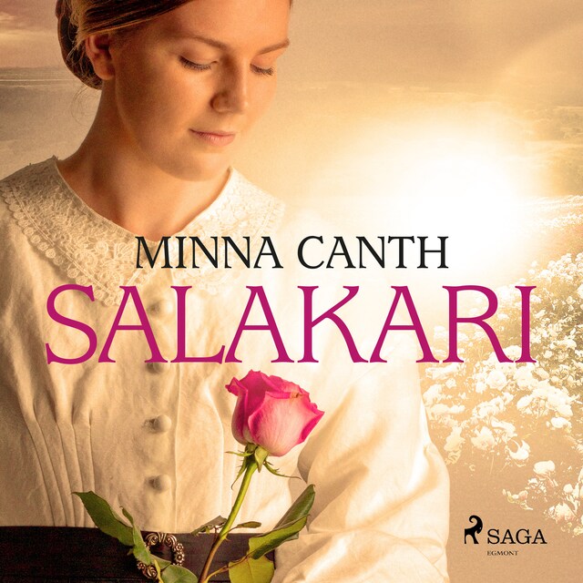 Book cover for Salakari