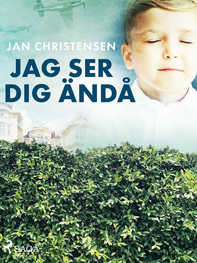 Buchcover für Jag ser dig ändå