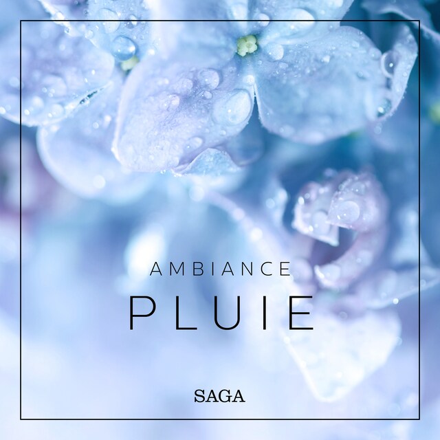 Book cover for Ambiance - Pluie