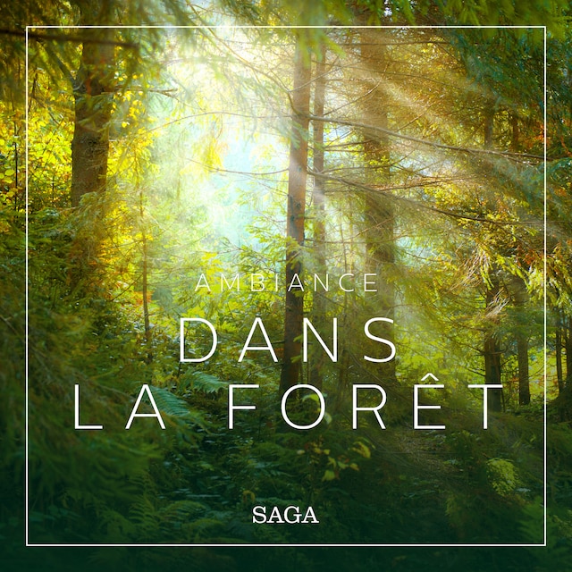 Book cover for Ambiance - Dans la forêt