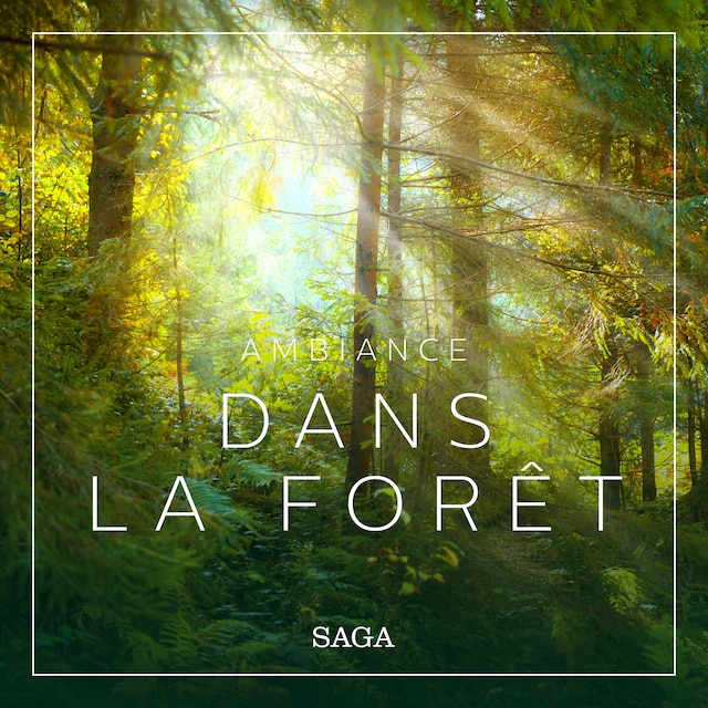 Bogomslag for Ambiance - Dans la forêt