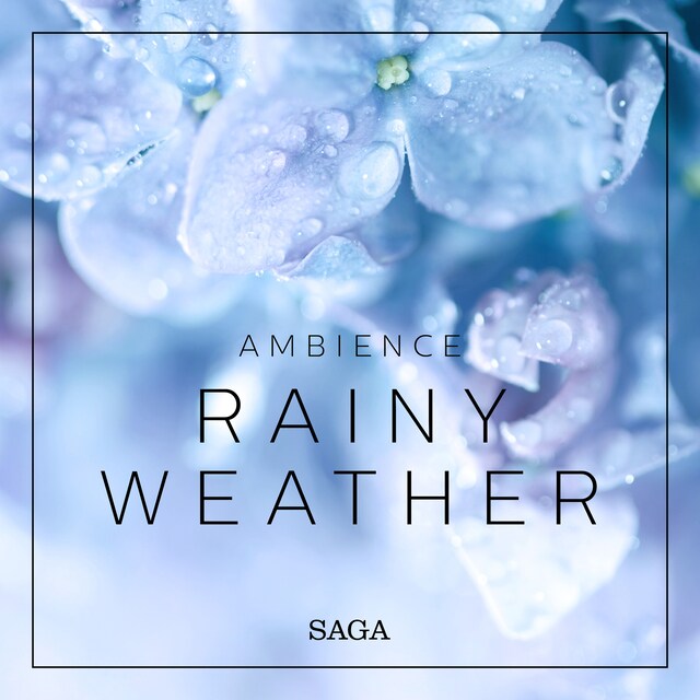 Copertina del libro per Ambience - Rainy Weather