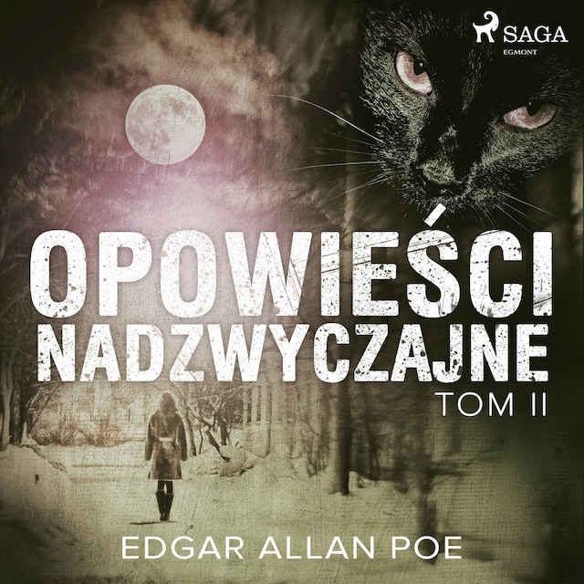 Book cover for Opowieści nadzwyczajne - Tom II