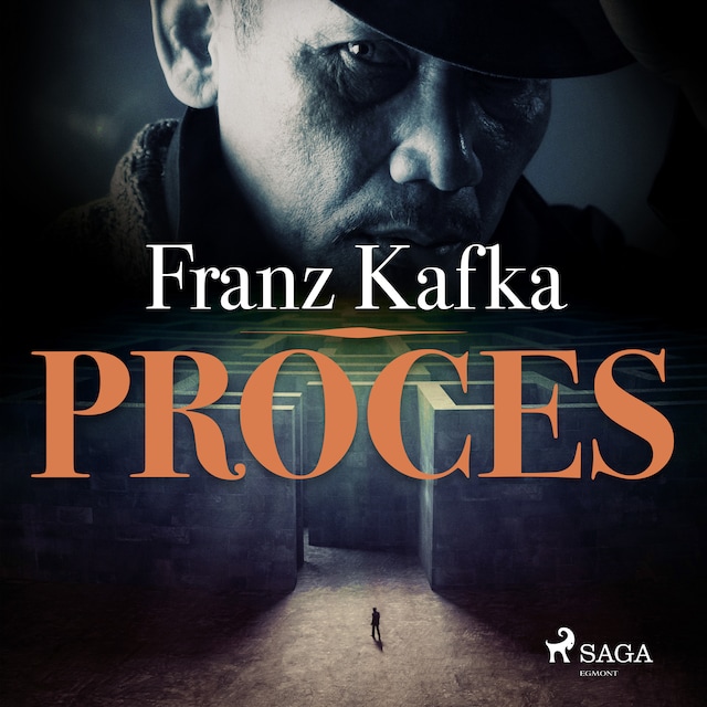 Book cover for Proces