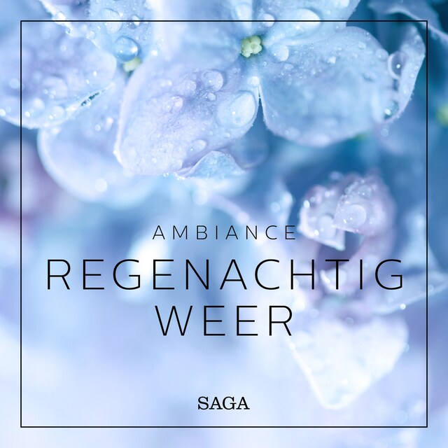 Book cover for Ambiance - Regenachtig weer