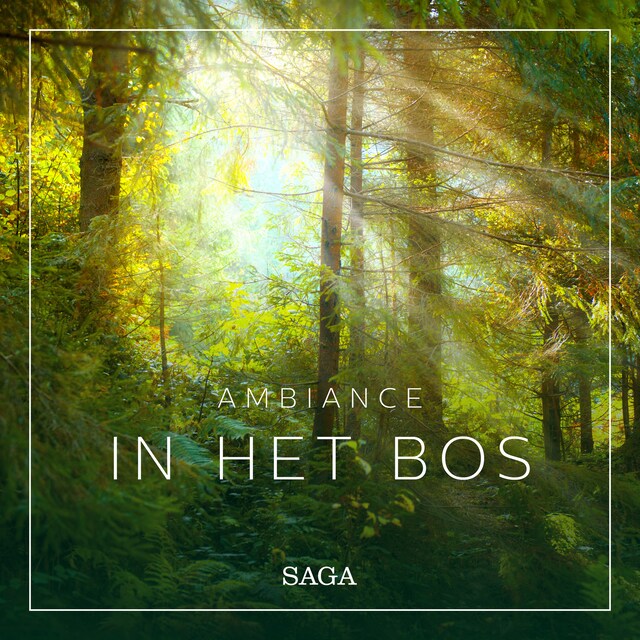 Book cover for Ambiance - In het Bos