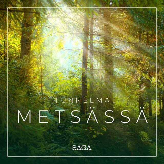 Book cover for Tunnelma - Metsässä