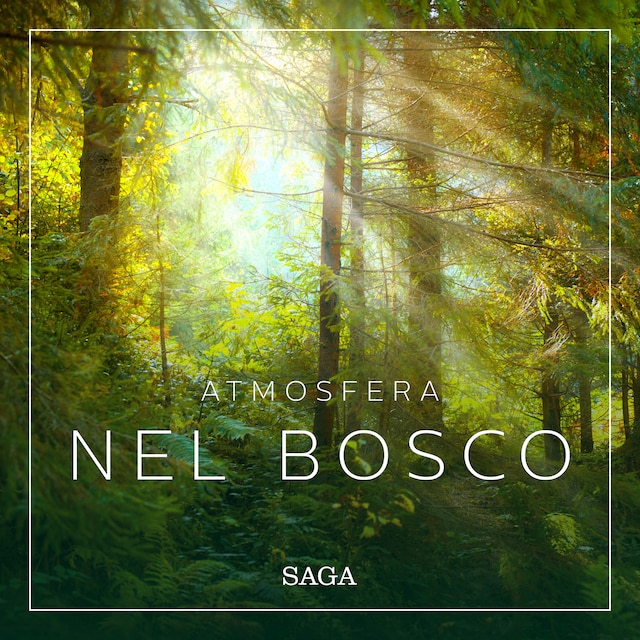 Kirjankansi teokselle Atmosfera - Nel bosco