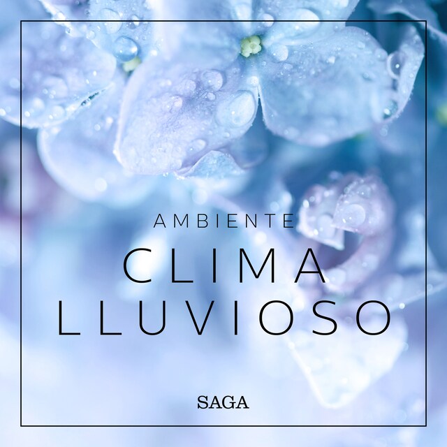 Book cover for Ambiente - Clima lluvioso