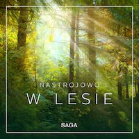 Nastrojowo - W lesie
