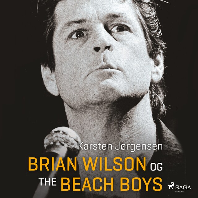 Book cover for Brian Wilson og The Beach Boys